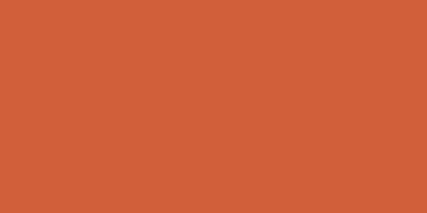 4×8 Plastic Orange .100in Fashion