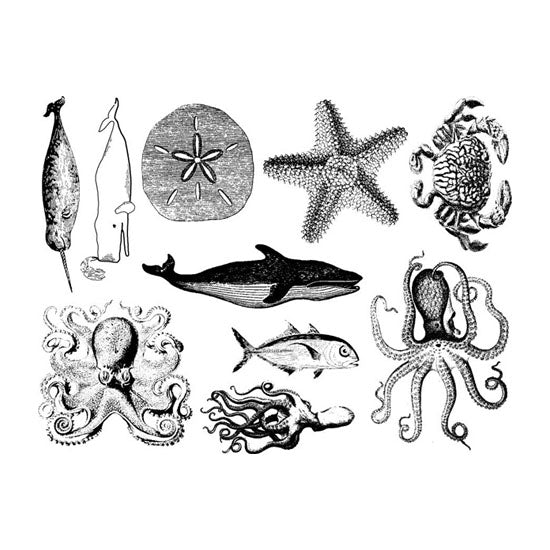 Enamel, Ceramic & Glass Decals – Mixed Sea Life Fashion
