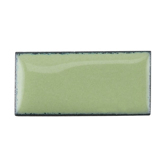 Medium Enamel Opaque #1308 Lichen Green 1 oz Sale