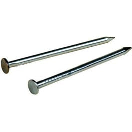 1/2-In. x 19 Galvanized Wire Nails, 1-1/2 oz. Online
